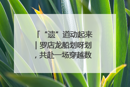 “遗”道动起来｜罗店龙船划呀划，共赴一场穿越数百年的端午之约