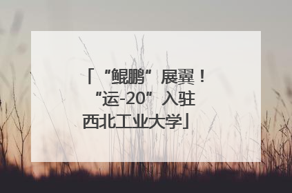 “鲲鹏”展翼！“运-20”入驻西北工业大学