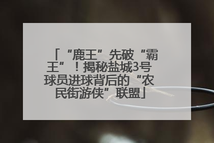 “鹿王”先破“霸王”！揭秘盐城3号球员进球背后的“农民街游侠”联盟