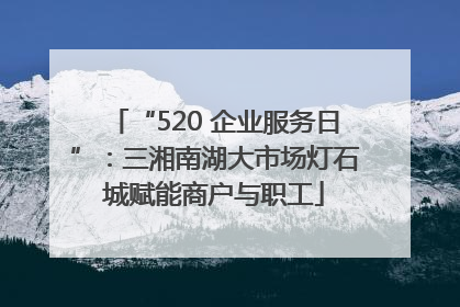 “520 企业服务日”：三湘南湖大市场灯石城赋能商户与职工