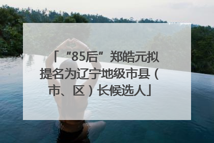 “85后”郑皓元拟提名为辽宁地级市县（市、区）长候选人
