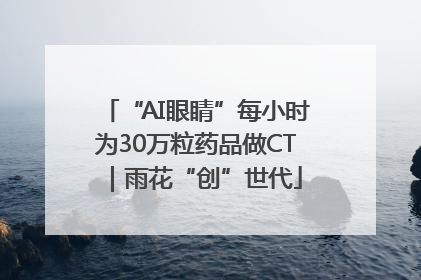 “AI眼睛”每小时为30万粒药品做CT｜雨花“创”世代
