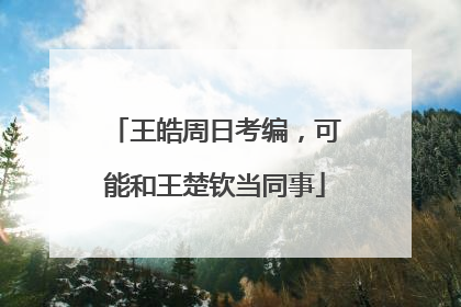 王皓周日考编，可能和王楚钦当同事