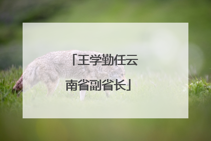 王学勤任云南省副省长
