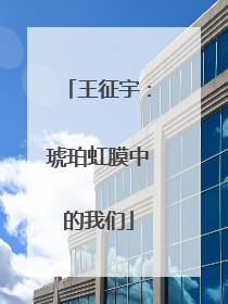 王征宇：琥珀虹膜中的我们