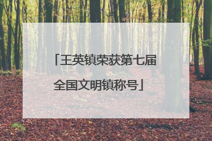 王英镇荣获第七届全国文明镇称号