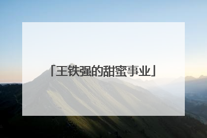 王铁强的甜蜜事业