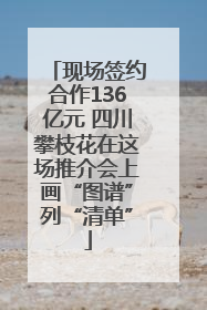 现场签约合作136亿元 四川攀枝花在这场推介会上画“图谱”列“清单”