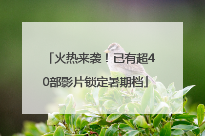 火热来袭！已有超40部影片锁定暑期档