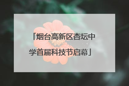 烟台高新区杏坛中学首届科技节启幕