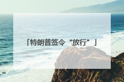 特朗普签令“放行”