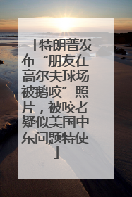 特朗普发布“朋友在高尔夫球场被鹅咬”照片，被咬者疑似美国中东问题特使