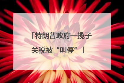 特朗普政府一揽子关税被“叫停”