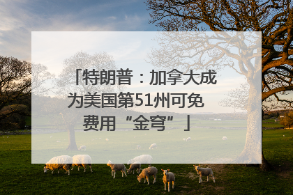 特朗普：加拿大成为美国第51州可免费用“金穹”