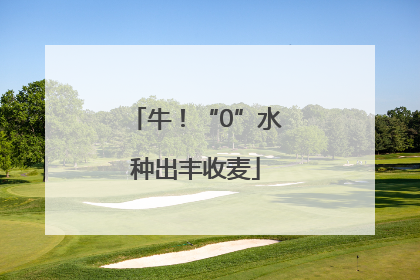 牛！“0”水种出丰收麦