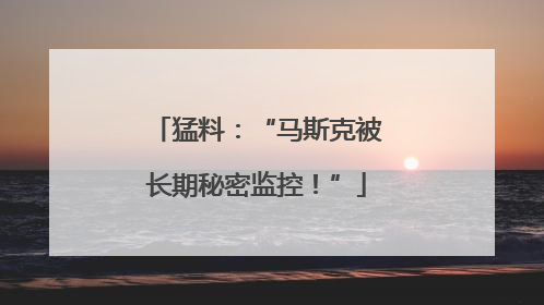 猛料：“马斯克被长期秘密监控！”