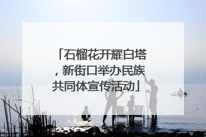 石榴花开耀白塔，新街口举办民族共同体宣传活动