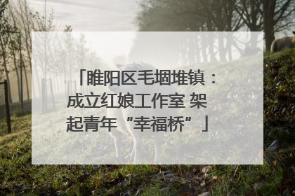 睢阳区毛堌堆镇：成立红娘工作室 架起青年“幸福桥”