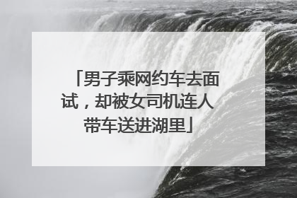 男子乘网约车去面试，却被女司机连人带车送进湖里