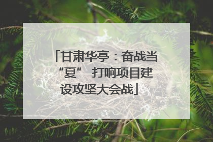 甘肃华亭：奋战当“夏” 打响项目建设攻坚大会战