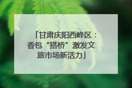 甘肃庆阳西峰区：香包“搭桥”激发文旅市场新活力