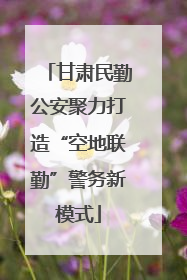 甘肃民勤公安聚力打造“空地联勤”警务新模式