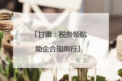 甘肃：税务领航 助企合规前行
