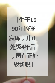 生于1990年的张宸珲，升正处级4年后，再有正处级新职
