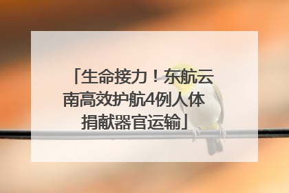 生命接力！东航云南高效护航4例人体捐献器官运输