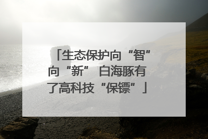 生态保护向“智”向“新” 白海豚有了高科技“保镖”