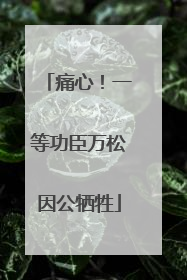 痛心！一等功臣万松因公牺牲