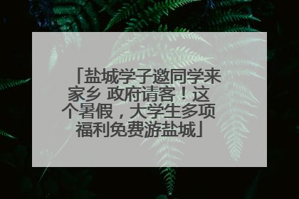盐城学子邀同学来家乡 政府请客！这个暑假，大学生多项福利免费游盐城