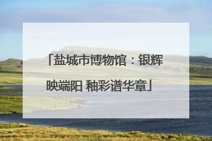 盐城市博物馆：银辉映端阳 釉彩谱华章