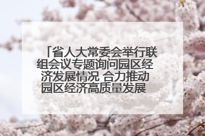 省人大常委会举行联组会议专题询问园区经济发展情况 合力推动园区经济高质量发展 王宁主持会议并讲话 王予波带队到会应询