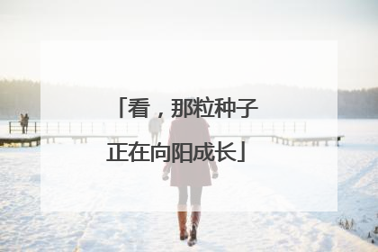 看，那粒种子正在向阳成长