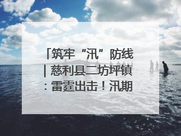 筑牢“汛”防线｜慈利县二坊坪镇：雷霆出击！汛期捕鱼被紧急叫停