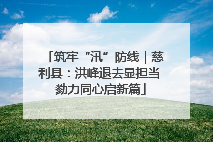筑牢“汛”防线｜慈利县：洪峰退去显担当 勠力同心启新篇