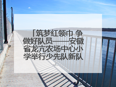 筑梦红领巾 争做好队员——安徽省龙亢农场中心小学举行少先队新队员入队仪式
