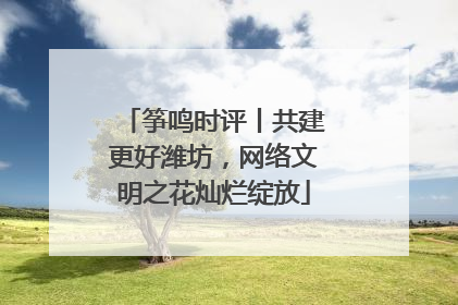 筝鸣时评丨共建更好潍坊，网络文明之花灿烂绽放