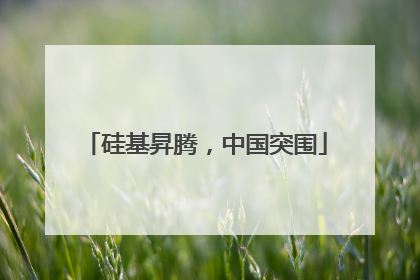 硅基昇腾，中国突围