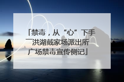 禁毒，从“心”下手――洪湖戴家场派出所广场禁毒宣传侧记