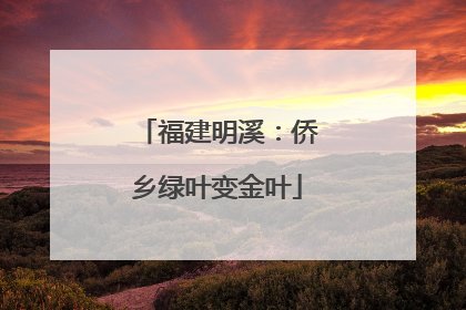 福建明溪：侨乡绿叶变金叶