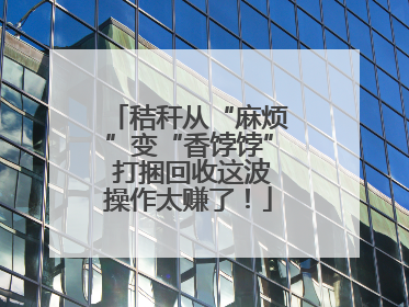 秸秆从“麻烦”变“香饽饽” 打捆回收这波操作太赚了！