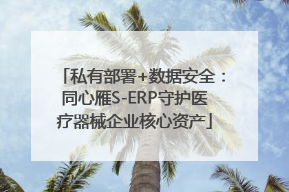 私有部署+数据安全：同心雁S-ERP守护医疗器械企业核心资产