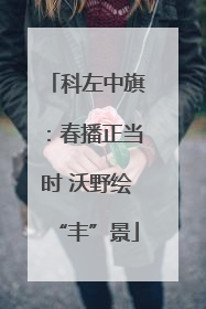 科左中旗：春播正当时 沃野绘“丰”景
