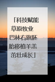 科技赋能草原牧业 巴林右旗胚胎移植羊羔茁壮成长