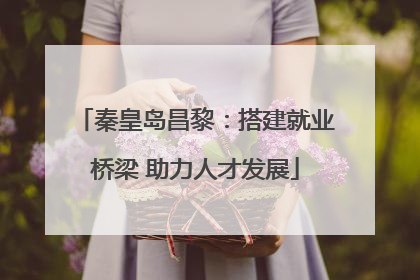 秦皇岛昌黎：搭建就业桥梁 助力人才发展