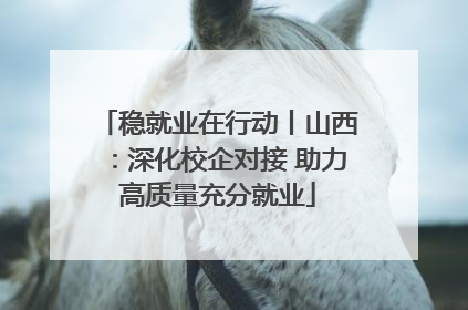 稳就业在行动丨山西：深化校企对接 助力高质量充分就业