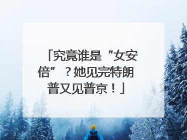 究竟谁是“女安倍”？她见完特朗普又见普京！