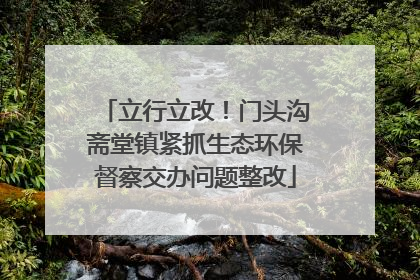 立行立改！门头沟斋堂镇紧抓生态环保督察交办问题整改